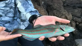 How to fish in Maui, Hawaii