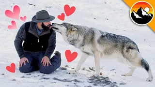 MY FIRST KISS... with a WOLF!