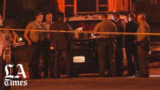 2 people, including a juvenile, found shot to death in Willowbrook