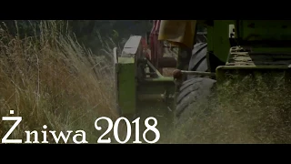 ☆Żniwa 2018☆Rzepak☆New Holland Tm 140|Claas Dominator 98S|