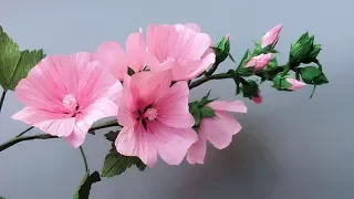 ABC TV | How To Make Lavatera Rosea Paper Flower From Crepe Paper - Craft Tutorial