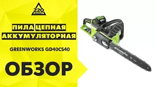 Обзор Пила цепная аккумуляторная GREENWORKS GD40CS40 (20077)