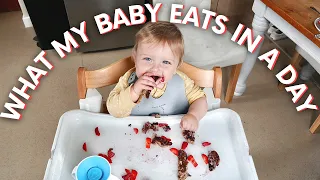 *NEW* WHAT MY 9 MONTH BABY OLD EATS IN A DAY UK | Baby Led Weaning & Formula Feeding | HomeWithShan