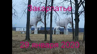 Video 285: 29 января 2020 Закарпатье Лазещина прогулка по лесу