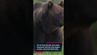 Kodiak Bear Attacks Man!