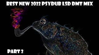 Best New 2022 PsyDub LSD DMT mix / PsyBient / Amazing Ethnic Music / Psychedelic / PsyChill