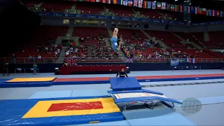 AQUINO Bernardo (ARG) - 2017 Trampoline Worlds, Sofia (BUL) - Qualification Double Mini Routine 2