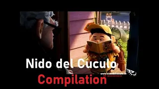 BEST OF Nido Del Cuculo [COMPILATION]