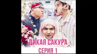 Дикая Сакура 1-2 серии (TerriTima)