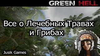 Гайд по выживанию в Green Hell!Все о Лечебных травах и Грибах! Green Hell!!!Гайд Green Hell