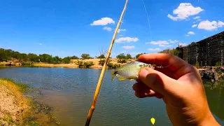 Mojarreando en Arroyo el Mármol, PESCA y COCINA, MOJARRAS fritas, Mucha Aventura y Naturaleza 2023