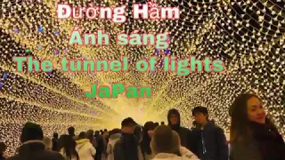 The tunnel of lights Japan