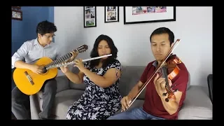 Himno 368 - 🎶Padre Amado🎶 - Guitarra, violín y flauta traversa #himnarioadventista