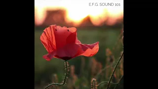 E.F.G. Sound 101