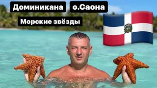 Доминикана 🇩🇴о.Саона Морские звёзды.Вы можете взять их в руки это невероятная красота природы…