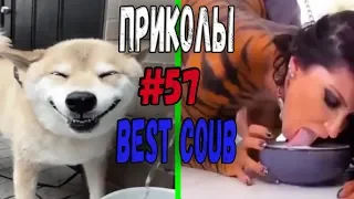 #ПРИКОЛЫ за Июль 2018 | BEST COUB 2018 ▶ 57