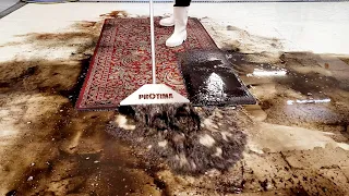 Two birds of paradise enchanted in a carpet | satisfying cleaning video | asmr