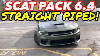 2021 Dodge Charger Scat Pack 6.4L HEMI DUAL EXHAUST w/ STRAIGHT PIPES!