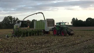 [Mais 2023] LU Norbert Mäser Claas Jaguar 970 mit verschiedenen Abfahrern in der Wetterau