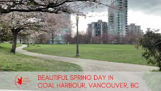 72 Beautiful Spring Day in Coal Harbour,  Vancouver, BC #canadianimmigrantstory