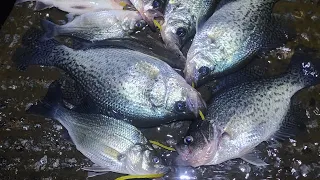 2024 Lake Norman crappie fishing