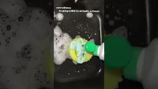 Breaking in NEW Scrub Daddy w/ Comet Cleaners! 🥰🤤😍 Lesson Learned(watch the end) 🫧asmr with MWS