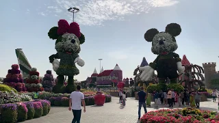 Путевые Заметки, ОАЭ,февраль 2019: прогулка по Саду Чудес - Dubai Miracle Garden