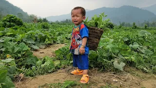 Single mother: Harvesting pumpkins and tops to sell at the market - gardening - building a new life