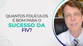 Fertilização in vitro I Quantos folículos são necessários para obter o sucesso na FIV?