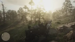 Film - RDR2 Wagon Crash - 2021_1_31_10_52_18*