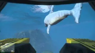 GTA V Next Gen PS4: Hammerhead Sharks and Humpback Whale