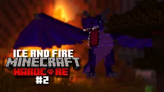 Lightning Dragon in Minecraft Hardcore IAF [#2]