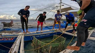 Hindi Maganda Nangyare Sa Pinakamalaking Trap Butas-Butas Dahil Sa Malaking Isda