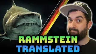 Learn German with Rammstein - Haifisch: English translation and meaning of the lyrics explained