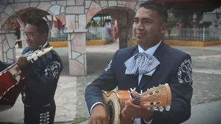 FLASHMOB/ MARIACHI MEXICANISIMO DE SAN JUAN ZITLALTEPEC