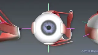 Part 1 of 9 - Introduction to the extraocular muscles of the eye