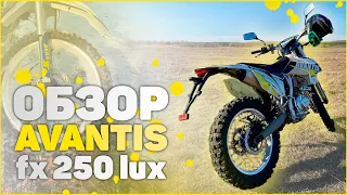 Обзор AVANTIS FX 250 LUX