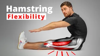The Science of Hamstring Flexibility – Anatomy & Training Techniques