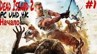 Прохождение Dead Island 2 на Русском языке ➤ Часть 1 начало ➤ Мёртвый остров PС (ПК) UHD (4К)