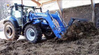 MUCKING OUT THE COW SHEDS WITH A BRILLIANT BLUE YARD TRACTOR !