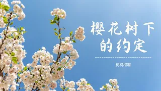 柯柯柯啊《樱花树下的约定》 -1小时连播版-老歌新唱-『动态歌词 』| Tiktok China Music | Douyin Music |