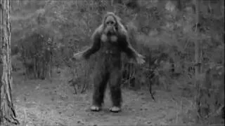 Bigfoot Dance