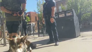 Boulder PD got a call about our dogs.