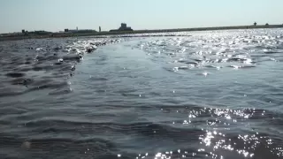 Nordsee: Ebbe, Flut, Beobachtungen im Watt.