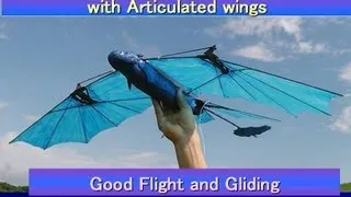 NightFury Baby23iV with Articulated wings First Flight: Good Flight and Gliding