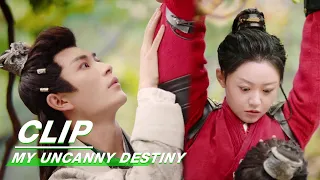 Xuanming Touches Zhaonan's Chest Accidentally | My Uncanny Destiny EP01 | 保护我方城主大人 | iQIYI