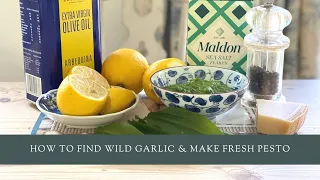 How to find wild garlic & make fresh pesto