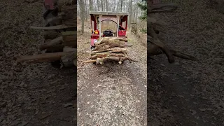 Brennholz machen #shorts macht ihr euer Holz selbst, oder Kauft ihr ?