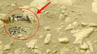 Mars Perseverance Rover Recently Found a Mysterious Object on Mars Surface||Mars in 4k||