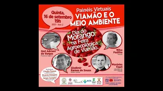 DIA DO MORANGUINHO NA FEIRA AGROECOLÓGICA DE VIAMÃO 14 09 21